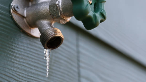Best Plumbing Inspection Services  in Troy, NC